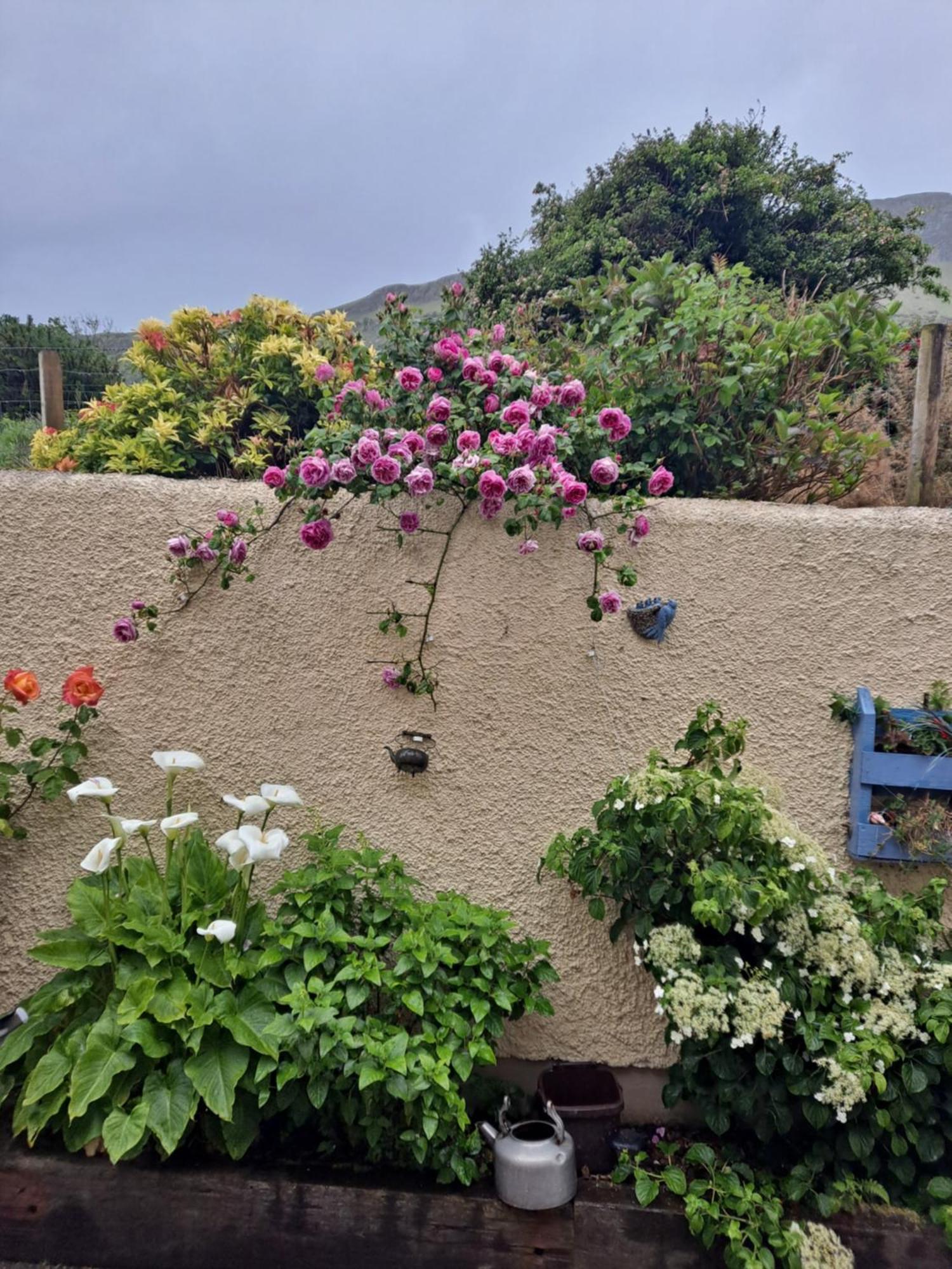 Lurig View B&B Glenariffe Экстерьер фото
